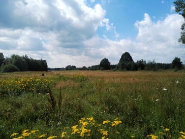 Działka budowlana Bednary sprzedam