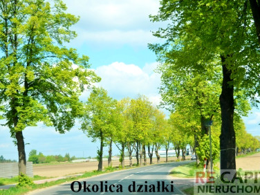 Działka Strzykuły