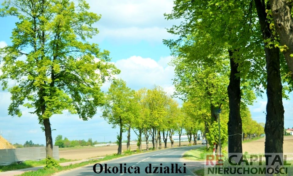 Działka Strzykuły