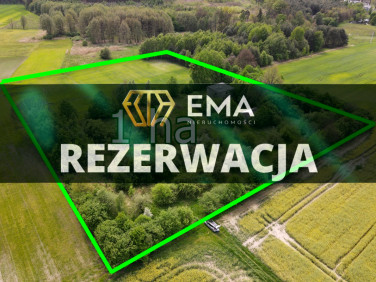 Działka Zwierzyniec Pierwszy