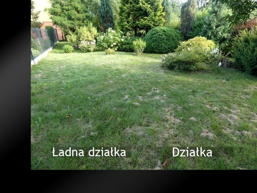 Działka budowlana Żywiec