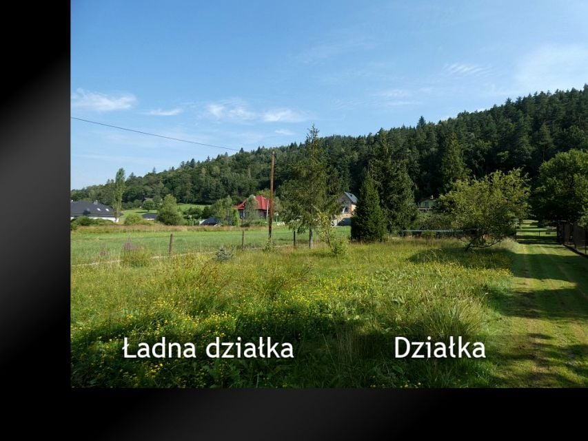 Zdjęcie 2