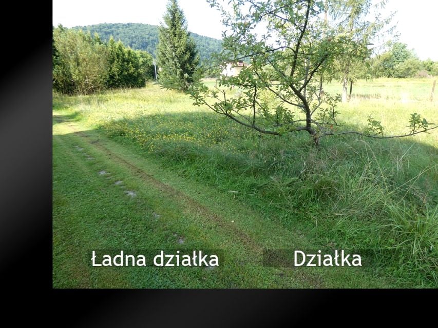 Zdjęcie 3