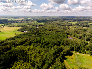 Działka inna Zaścianki