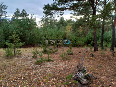 Działka Michałów-Reginów