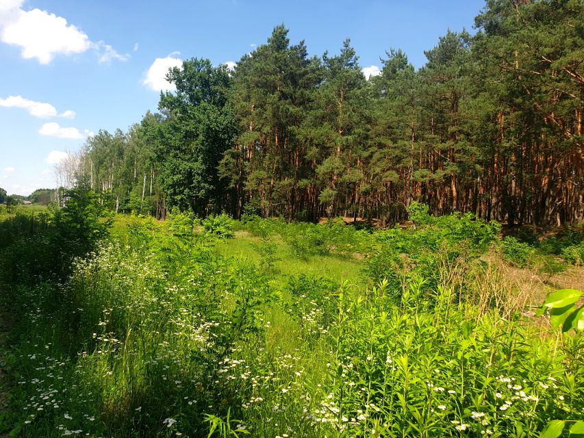 Działka budowlana Żanęcin sprzedam