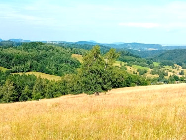 Działka budowlana Michałkowa