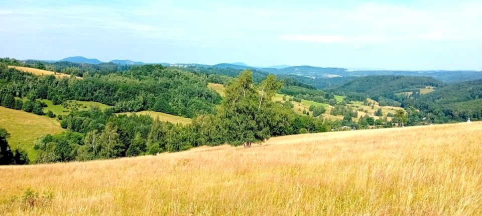 Działka budowlana Michałkowa