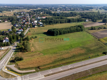 Działka Niecki