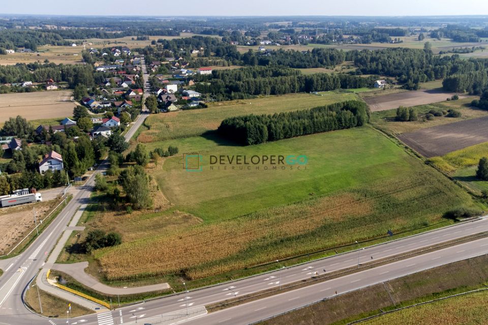Działka Niecki