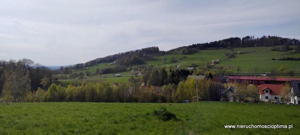 Zdjęcie 3