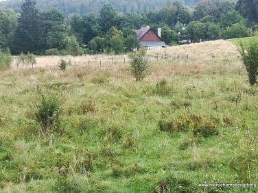 Działka budowlana sprzedam