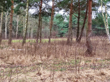 Działka budowlana Mikówiec sprzedam