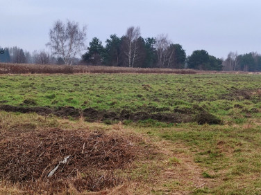 Działka budowlana Brześce sprzedam