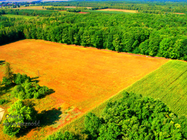 Działka budowlana Kaznów-Kolonia