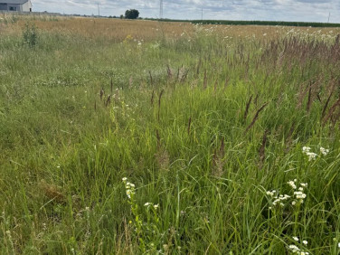 Działka budowlana Leszno