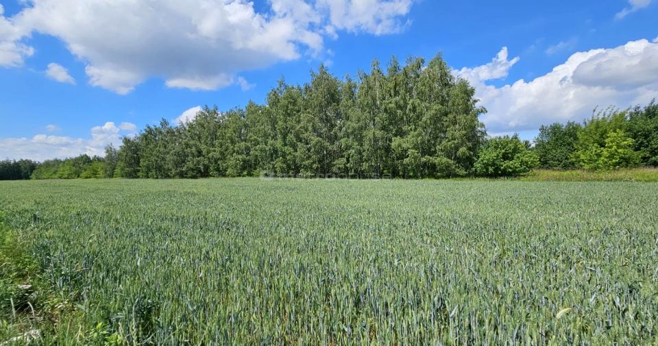 Działka budowlana Władysławów