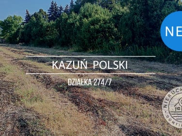 Działka budowlana Kazuń Polski