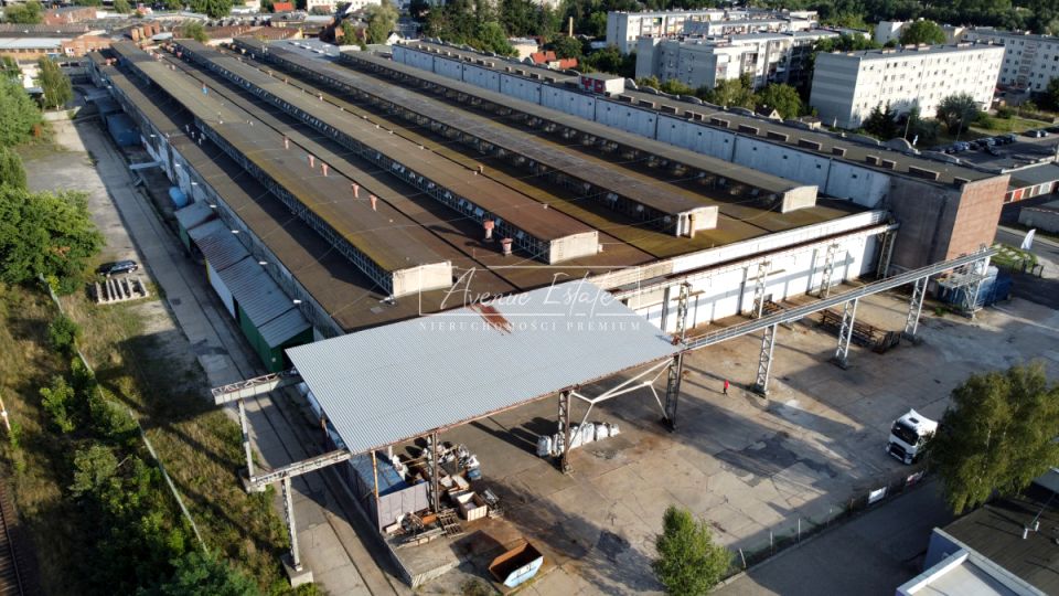 Lokal Zielona Góra