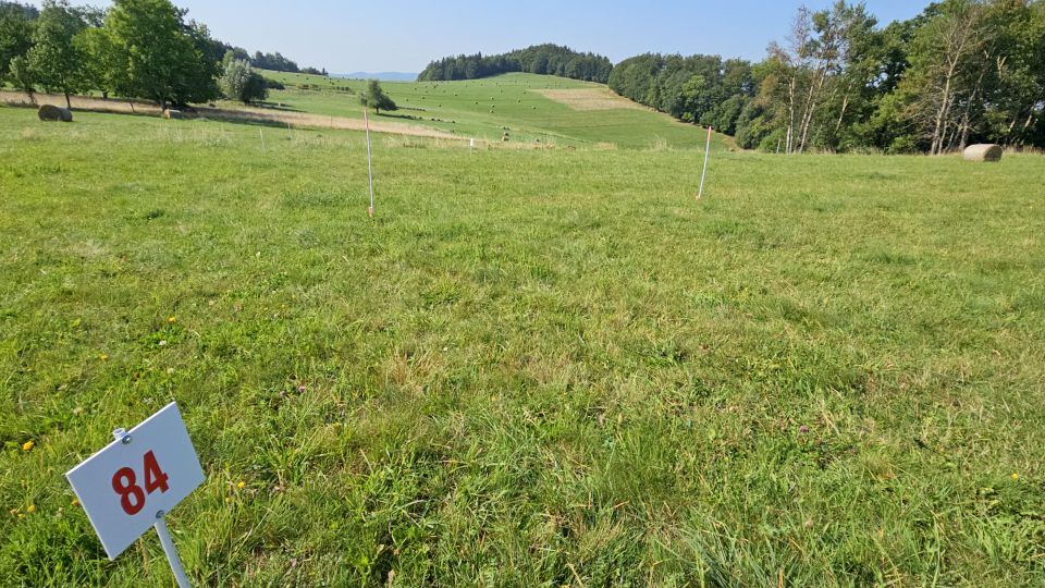 Zalesiona działka Pastewnik