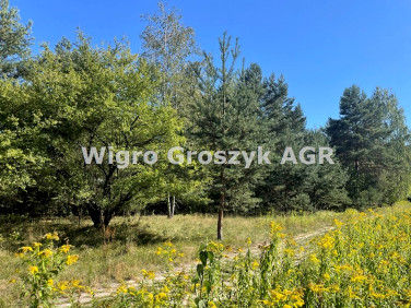 Działka budowlano-rolna Pieńków sprzedam