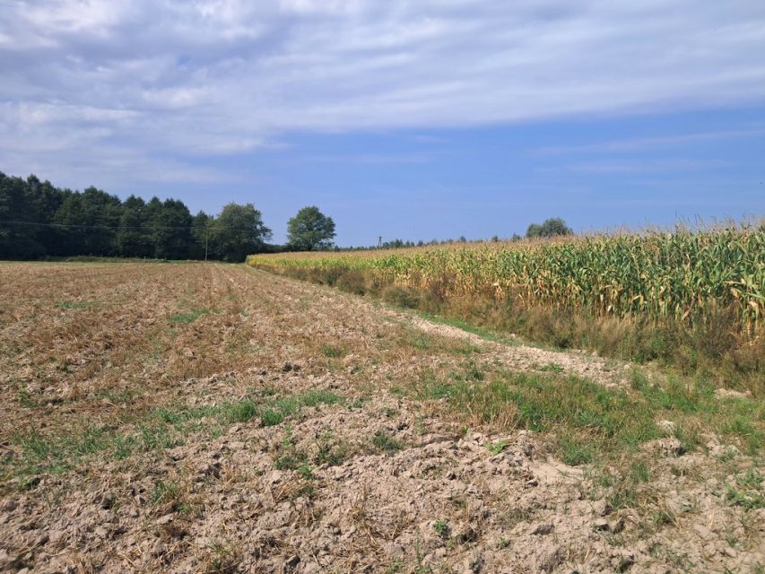 Działka budowlana sprzedam