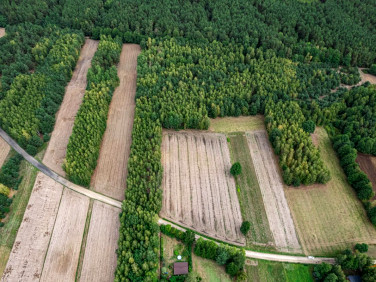 Działka Ruda-Pniewnik