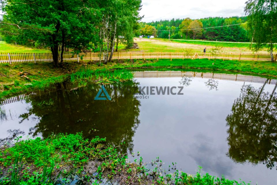 Zdjęcie 2