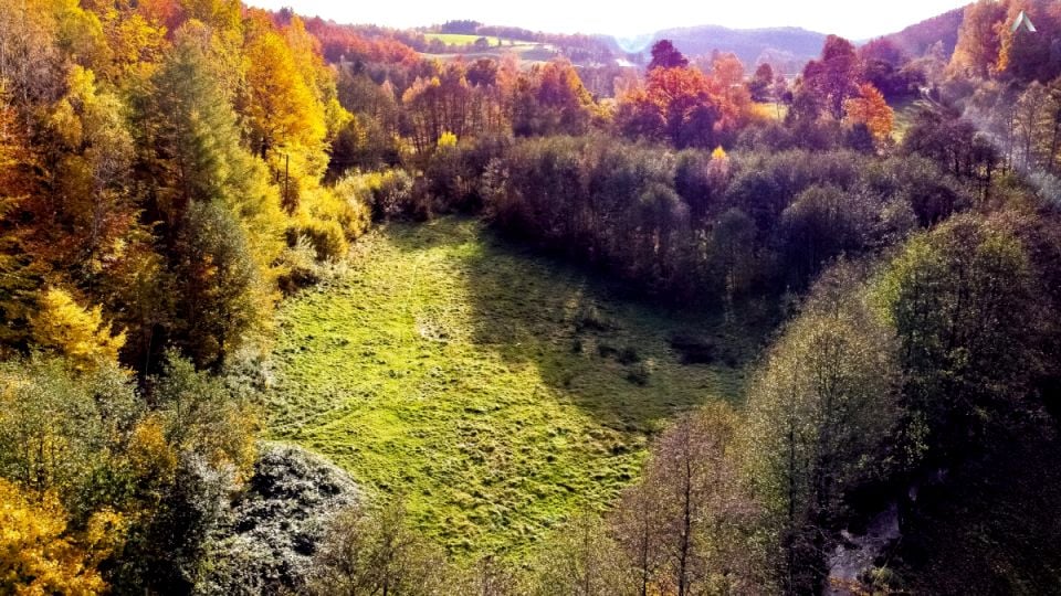 Działka siedliskowa Przetoczyno