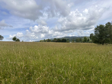 Działka budowlana Ciechanowice