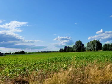 Działka Imielno