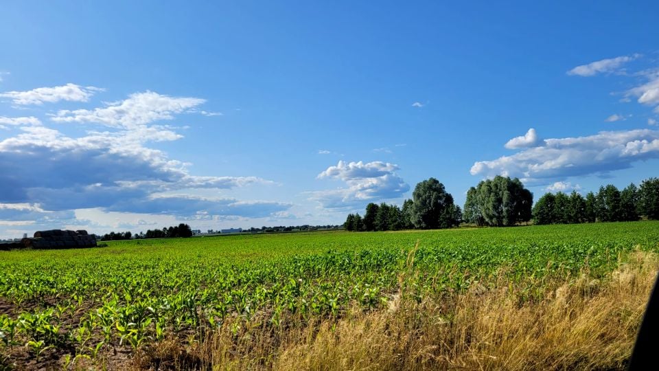 Działka Imielno