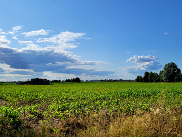 Działka Imielno