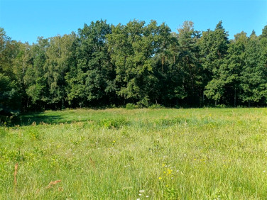 Działka budowlana Górki