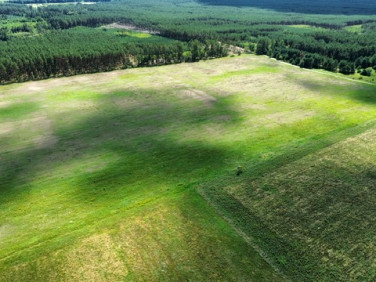 Działka rolna Piaski