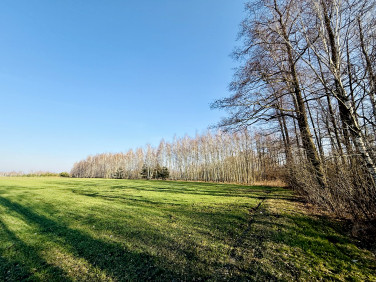 Działka budowlana Nowy Kraszew