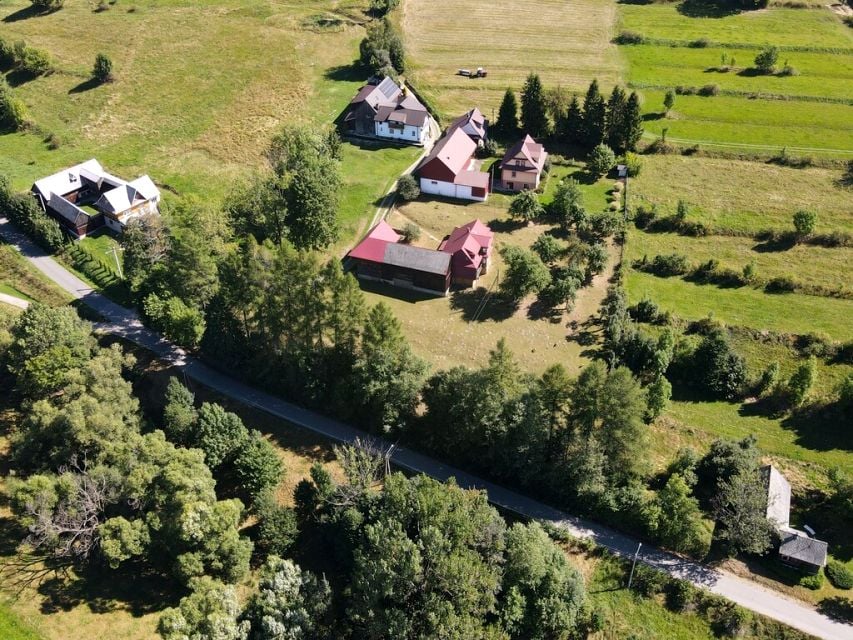 Zdjęcie 3