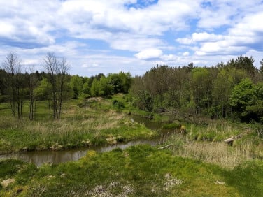 Działka leśna Rudnik nad Sanem