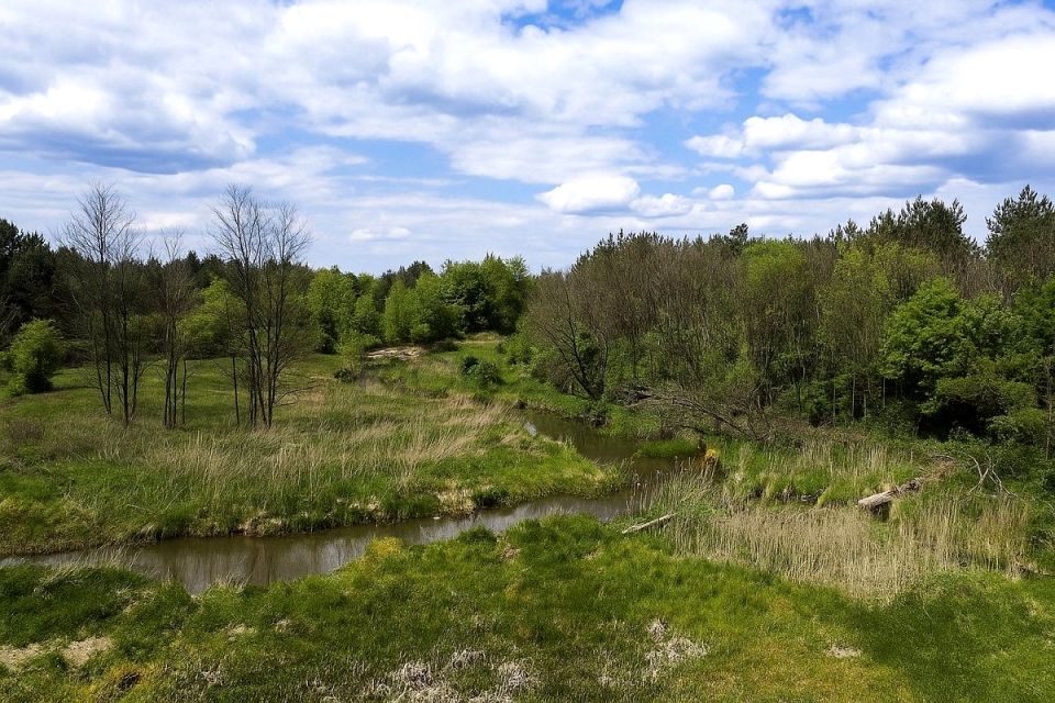 Działka leśna Rudnik nad Sanem