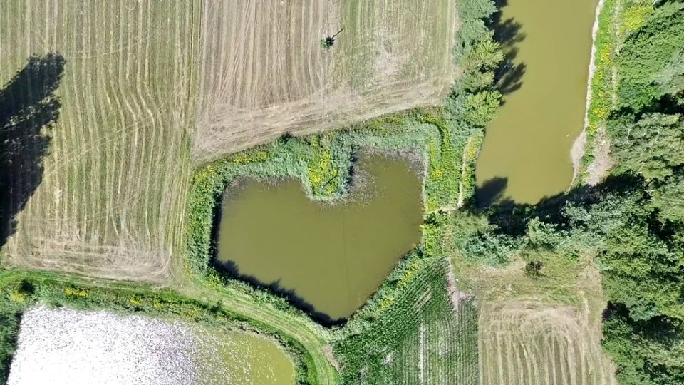 Działka rolna Pałczew