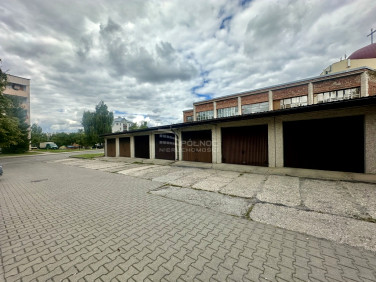 Lokal Chełm