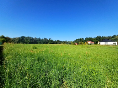 Działka Górki