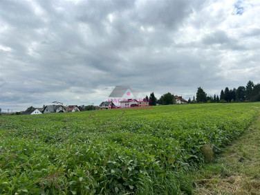 Działka budowlana Łąka