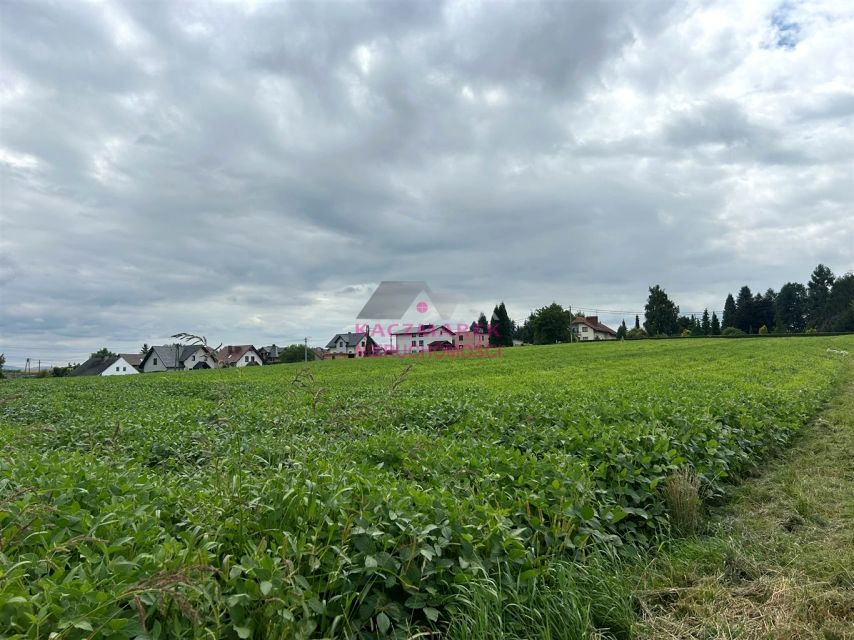 Działka budowlana Łąka