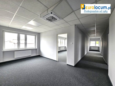 Lokal Kielce