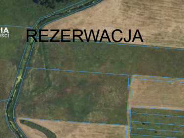 Działka rolna Zarzeczany