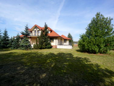 Dom Witów-Kolonia