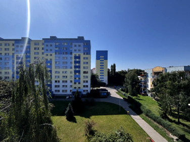 Mieszkanie Łódź sprzedaż