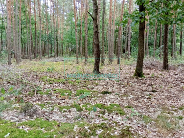 Działka budowlana Siestrzeń