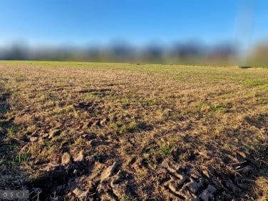 Działka usługowa Węgrzce sprzedam